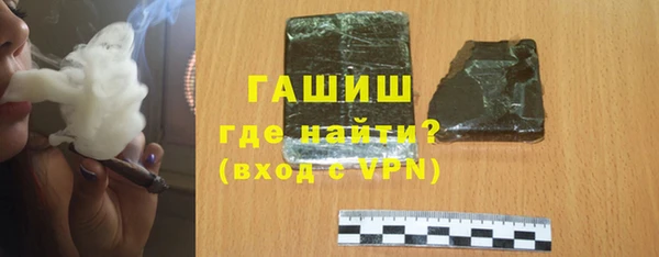 индика Краснослободск