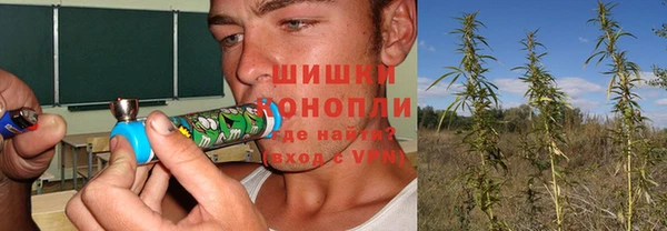 экстази Дмитриев