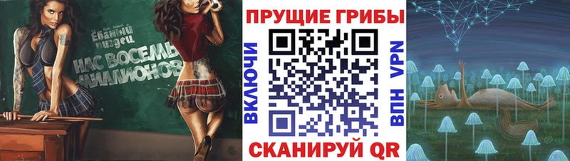 МЕГА как зайти  Удачный  Псилоцибиновые грибы Psilocybine cubensis 